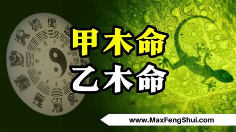 甲木 乙木 怎麼看|什么叫甲木命乙木命 各有特點性格不同